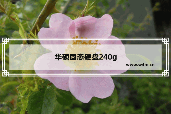 华硕固态硬盘240g