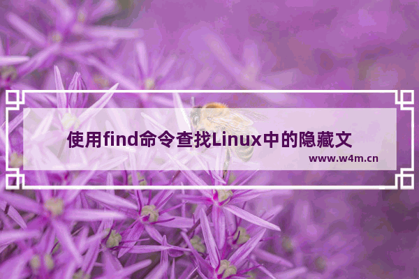 使用find命令查找Linux中的隐藏文件的方法