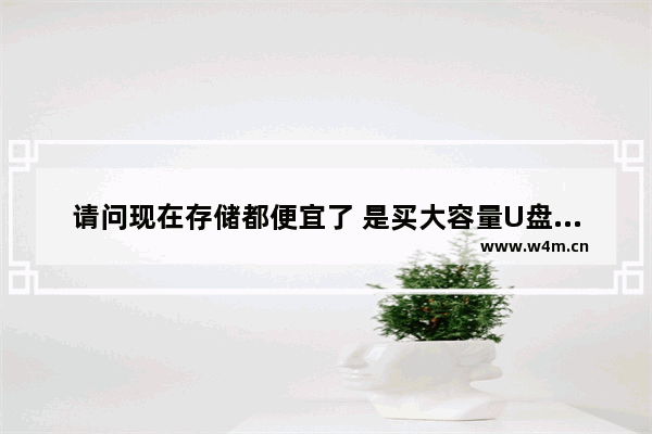 请问现在存储都便宜了 是买大容量U盘还是买固态硬盘划算