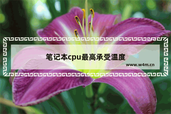 笔记本cpu最高承受温度