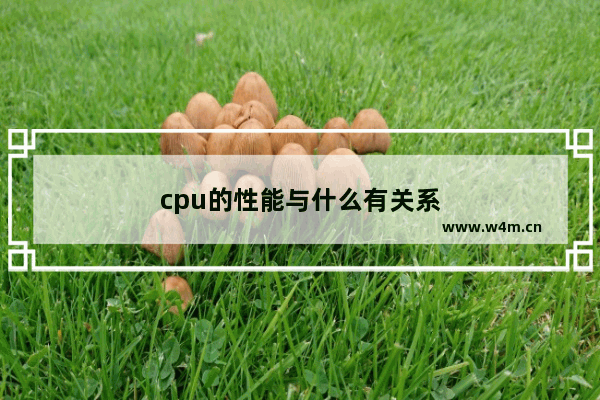 cpu的性能与什么有关系