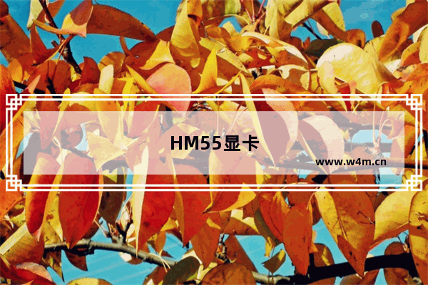 HM55显卡