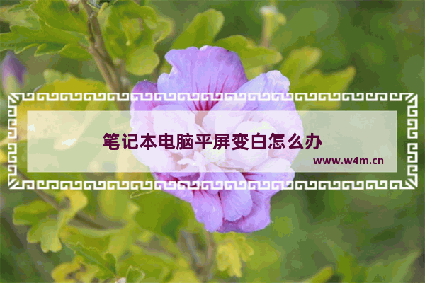 笔记本电脑平屏变白怎么办