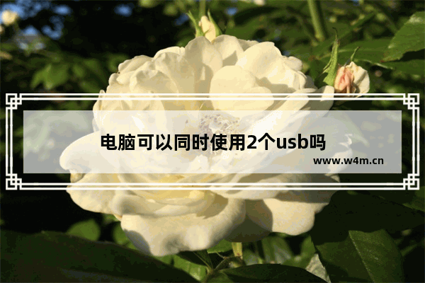 电脑可以同时使用2个usb吗