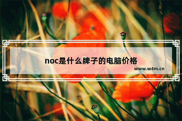 noc是什么牌子的电脑价格