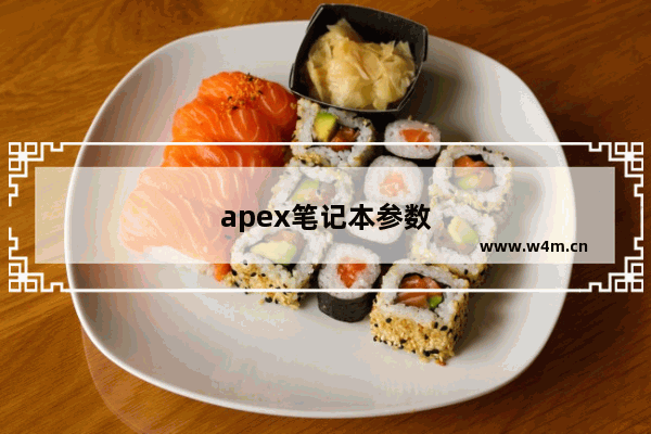 apex笔记本参数