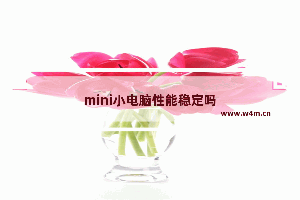 mini小电脑性能稳定吗