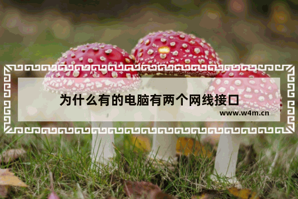 为什么有的电脑有两个网线接口