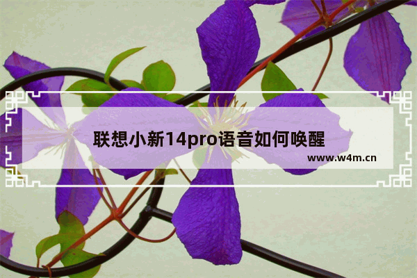 联想小新14pro语音如何唤醒