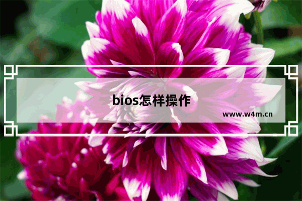 bios怎样操作