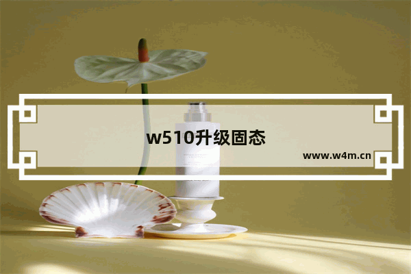 w510升级固态