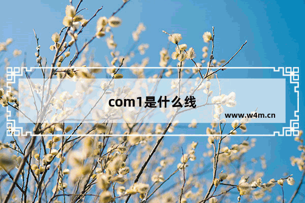 com1是什么线