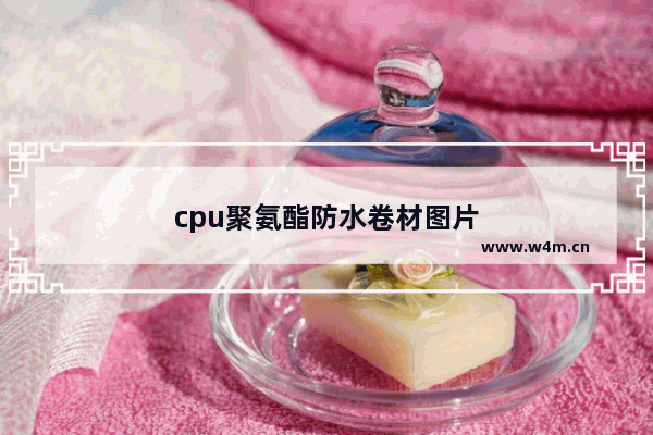 cpu聚氨酯防水卷材图片