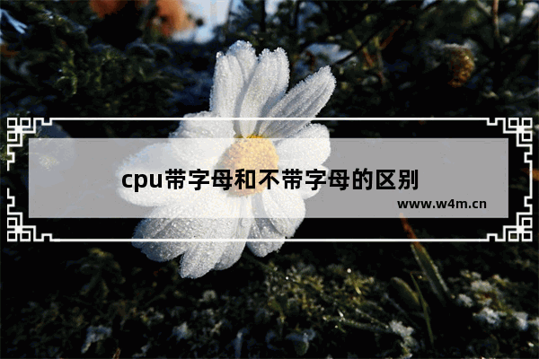 cpu带字母和不带字母的区别