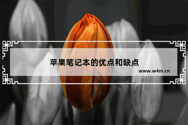 苹果笔记本的优点和缺点