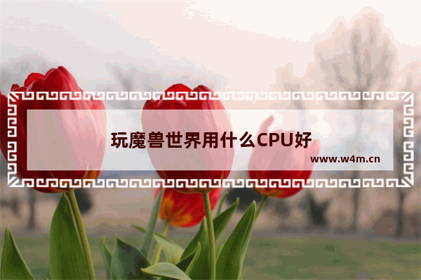 玩魔兽世界用什么CPU好