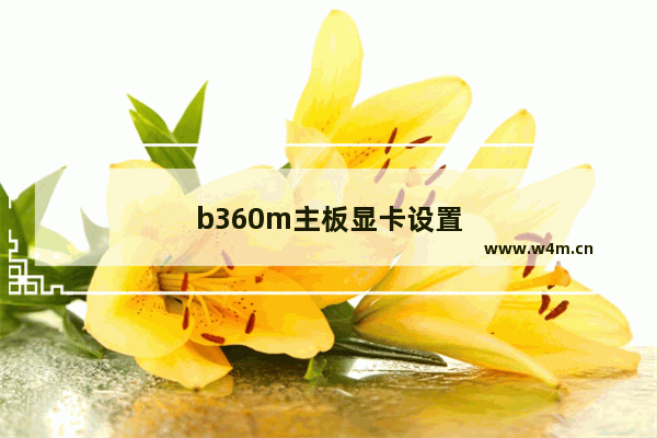 b360m主板显卡设置