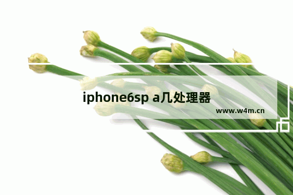 iphone6sp a几处理器