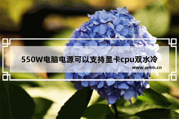 550W电脑电源可以支持显卡cpu双水冷吗