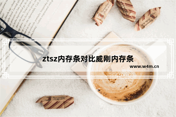 ztsz内存条对比威刚内存条