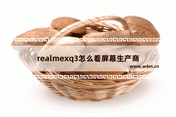 realmexq3怎么看屏幕生产商