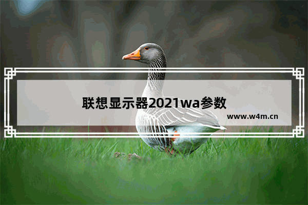 联想显示器2021wa参数