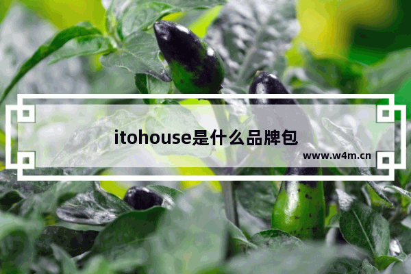 itohouse是什么品牌包