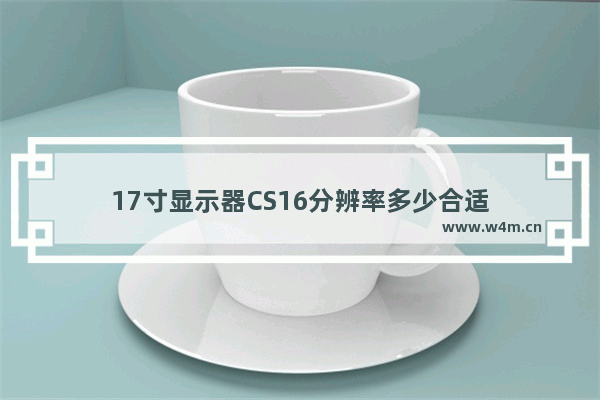 17寸显示器CS16分辨率多少合适