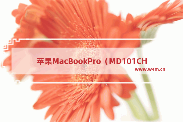 苹果MacBookPro（MD101CH/a)可以玩什么游戏