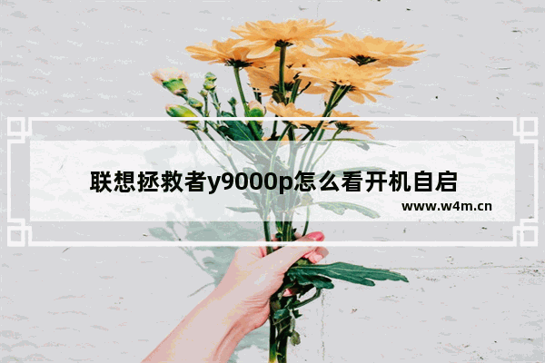 联想拯救者y9000p怎么看开机自启