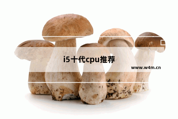 i5十代cpu推荐