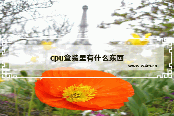 cpu盒装里有什么东西