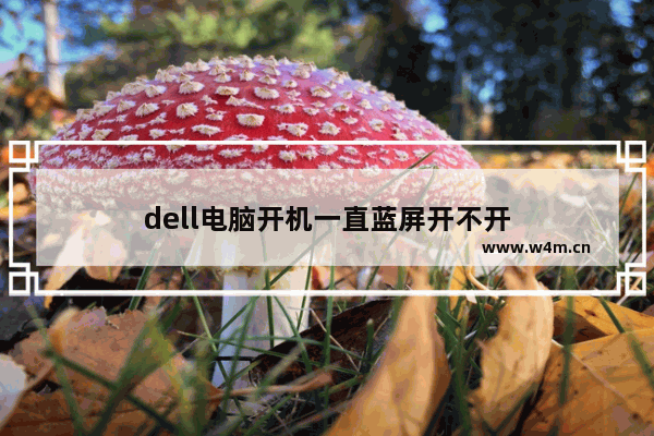 dell电脑开机一直蓝屏开不开