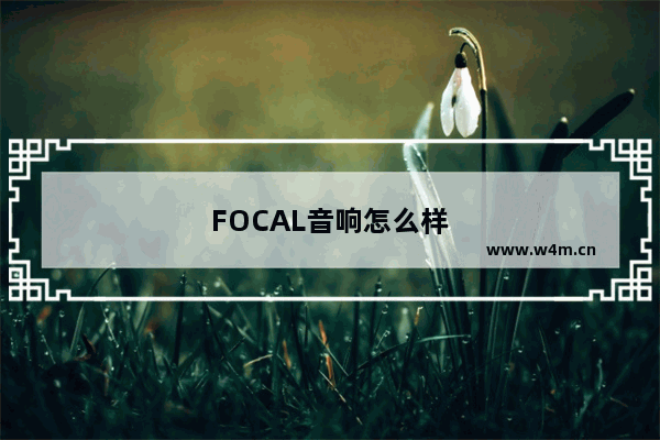 FOCAL音响怎么样