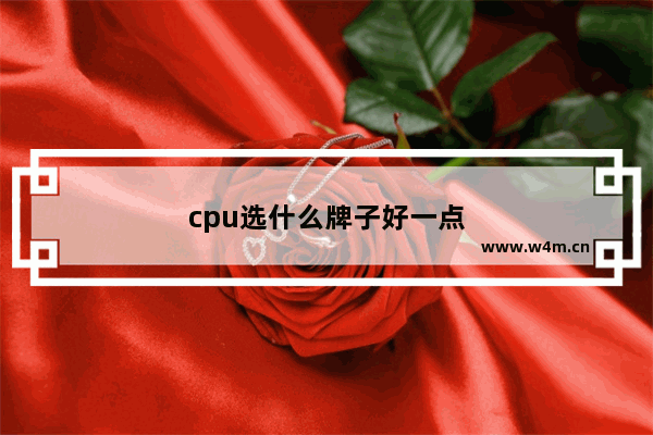 cpu选什么牌子好一点