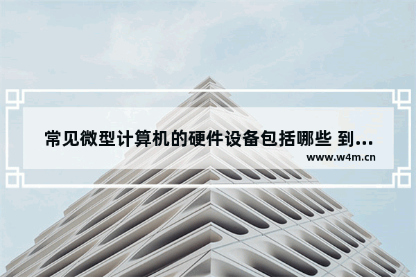 常见微型计算机的硬件设备包括哪些 到底是五大部分 还是 六大部分组