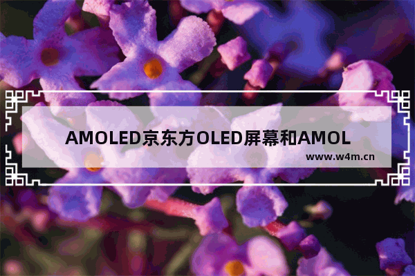 AMOLED京东方OLED屏幕和AMOLED还有哪些差距