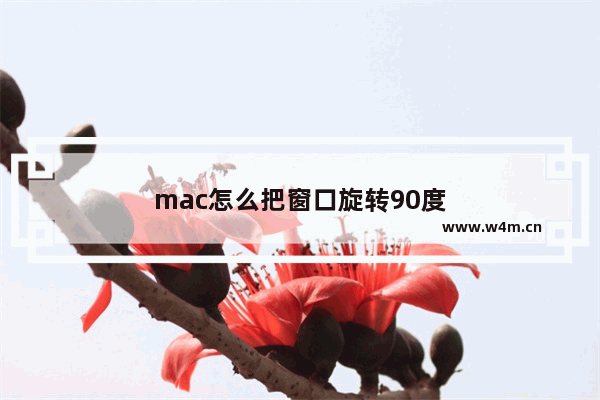 mac怎么把窗口旋转90度