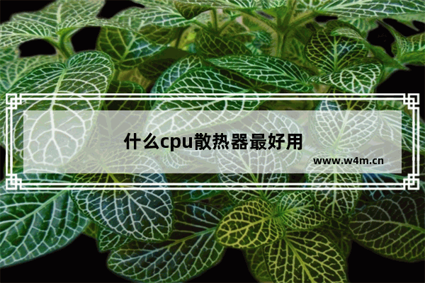 什么cpu散热器最好用