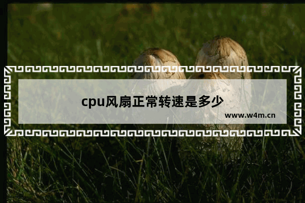 cpu风扇正常转速是多少