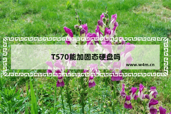 T570能加固态硬盘吗