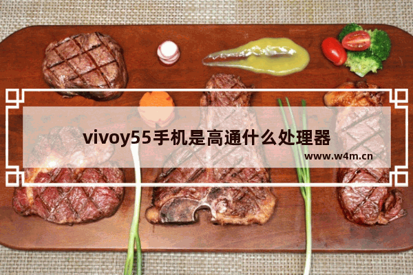 vivoy55手机是高通什么处理器