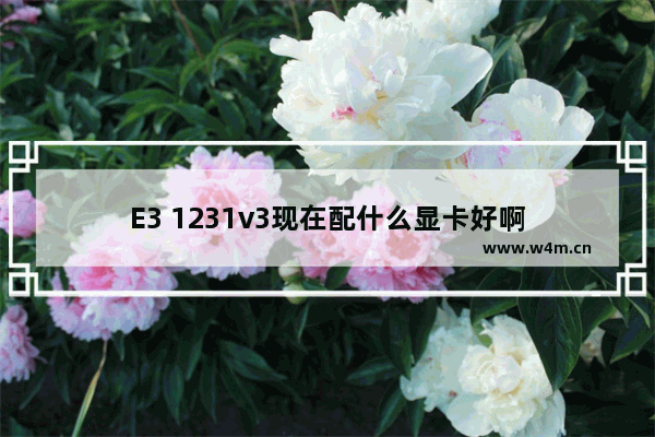 E3 1231v3现在配什么显卡好啊