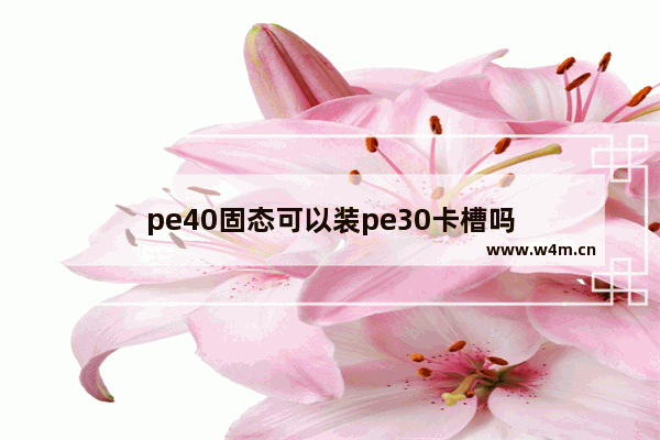 pe40固态可以装pe30卡槽吗