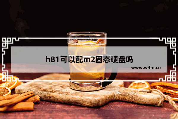 h81可以配m2固态硬盘吗