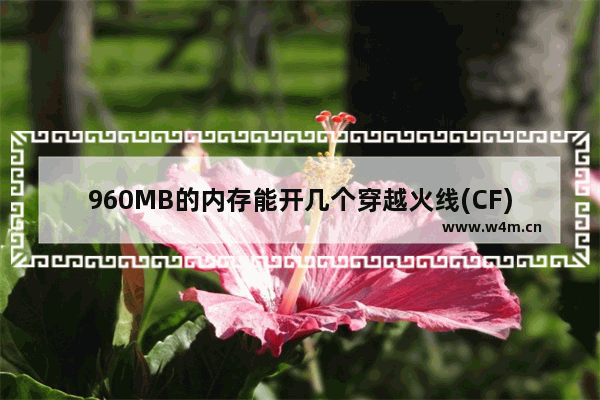 960MB的内存能开几个穿越火线(CF)