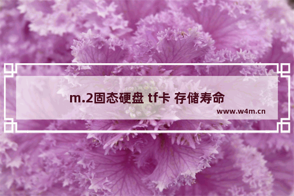 m.2固态硬盘 tf卡 存储寿命