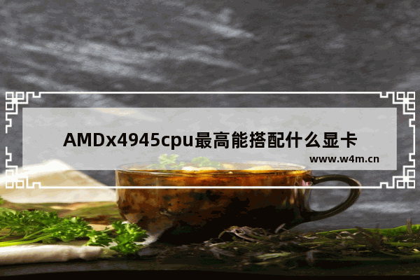 AMDx4945cpu最高能搭配什么显卡