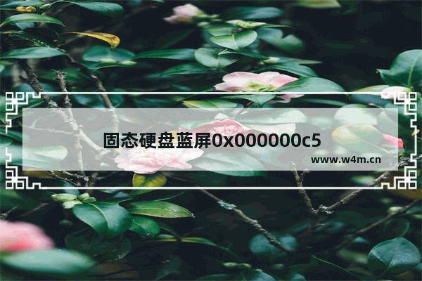 固态硬盘蓝屏0x000000c5