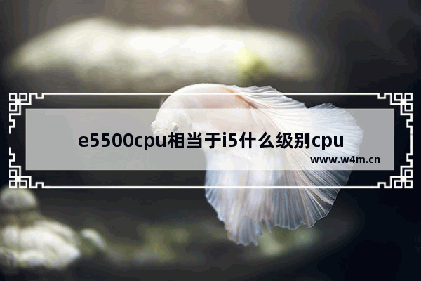 e5500cpu相当于i5什么级别cpu